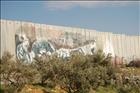 39 Security Wall Graffiti